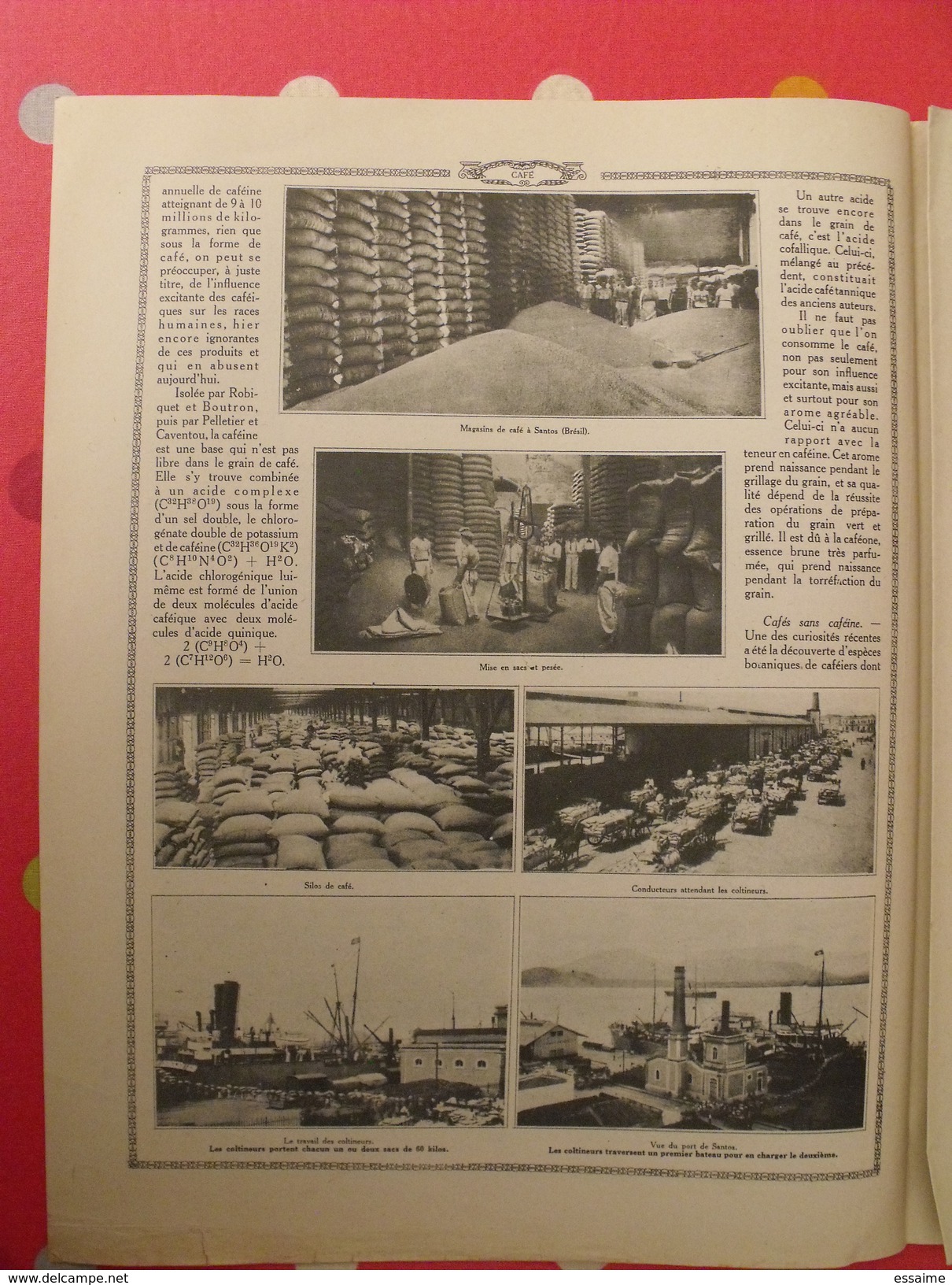 Le monde et la science 1935. bactériologie beurre margarine café champagne chauffage. nombreuses photos encyclopédie