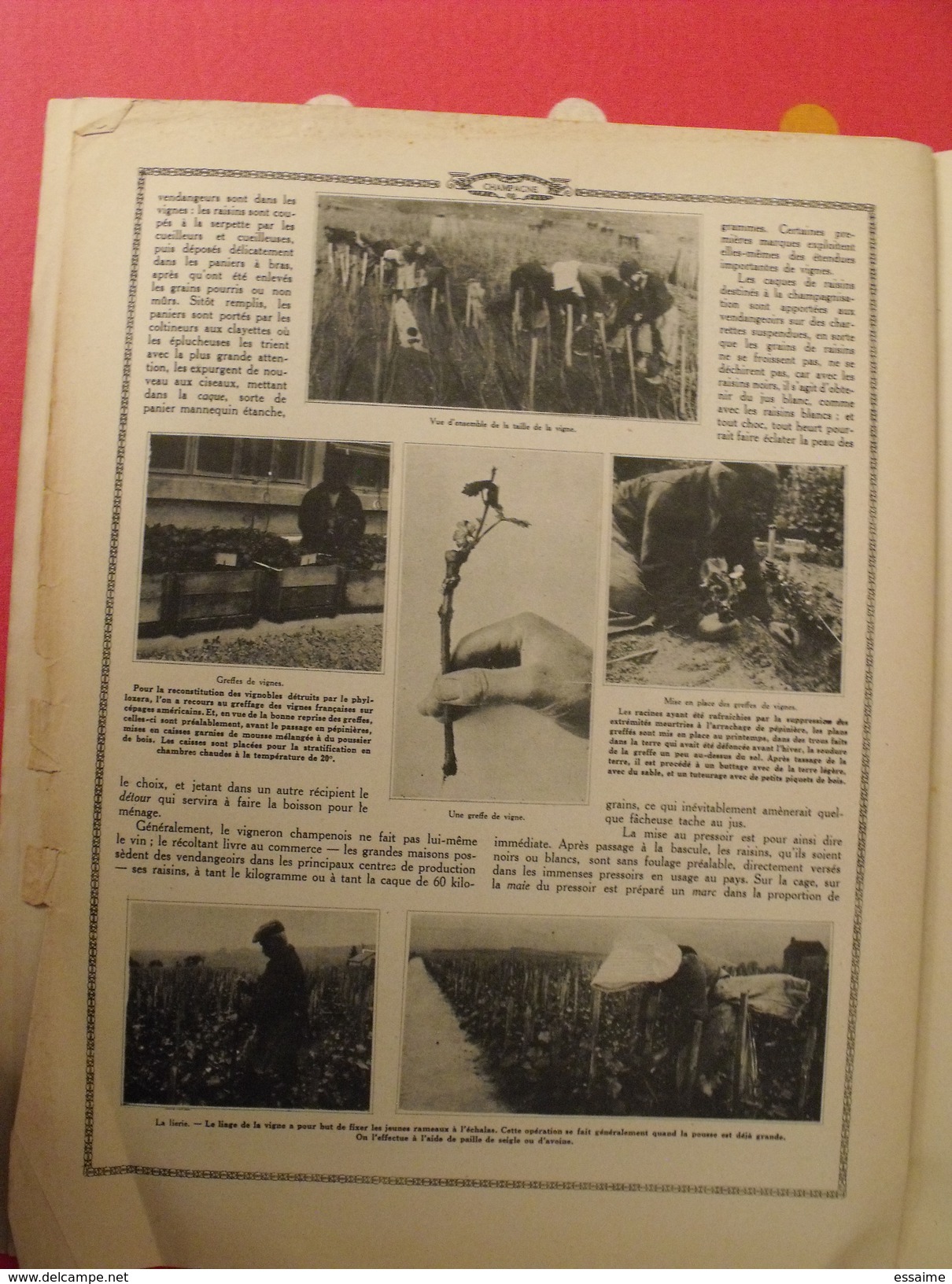 Le monde et la science 1935. bactériologie beurre margarine café champagne chauffage. nombreuses photos encyclopédie