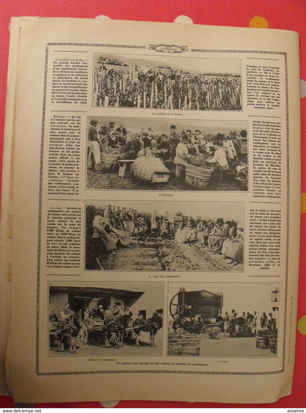 Le monde et la science 1935. bactériologie beurre margarine café champagne chauffage. nombreuses photos encyclopédie