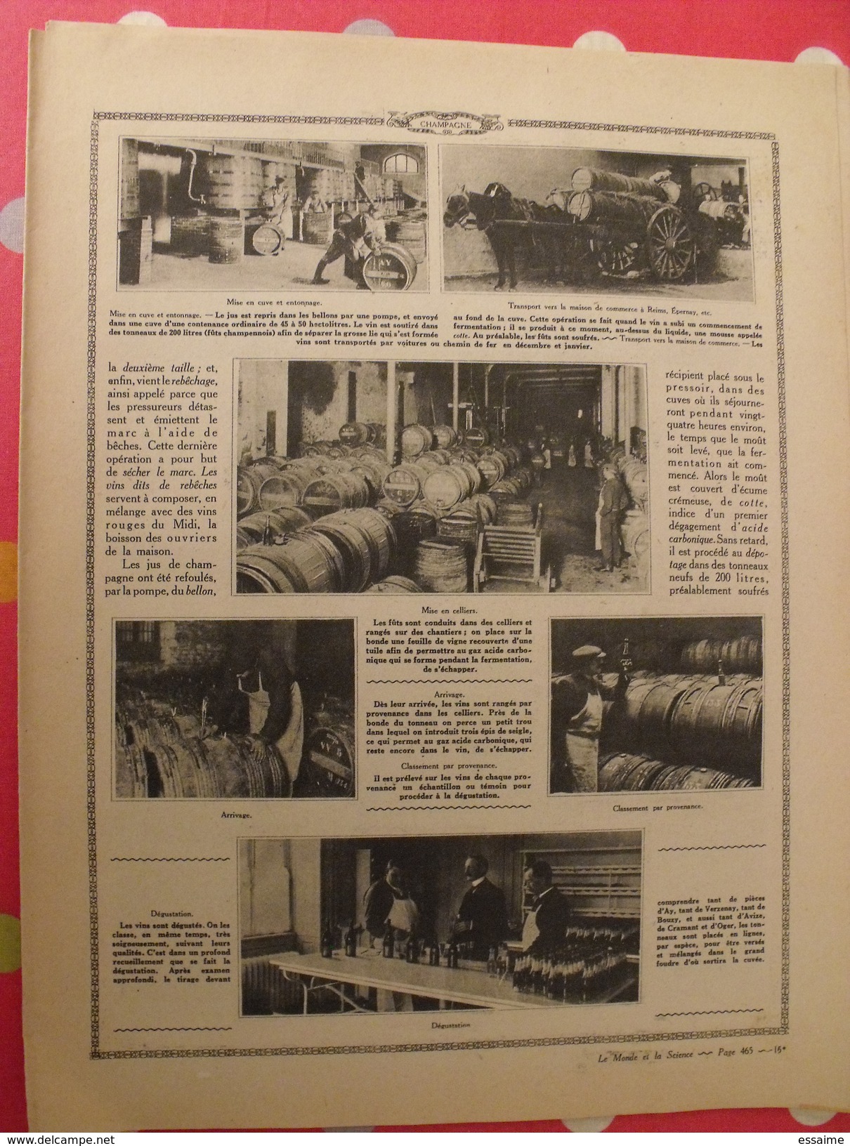 Le monde et la science 1935. bactériologie beurre margarine café champagne chauffage. nombreuses photos encyclopédie