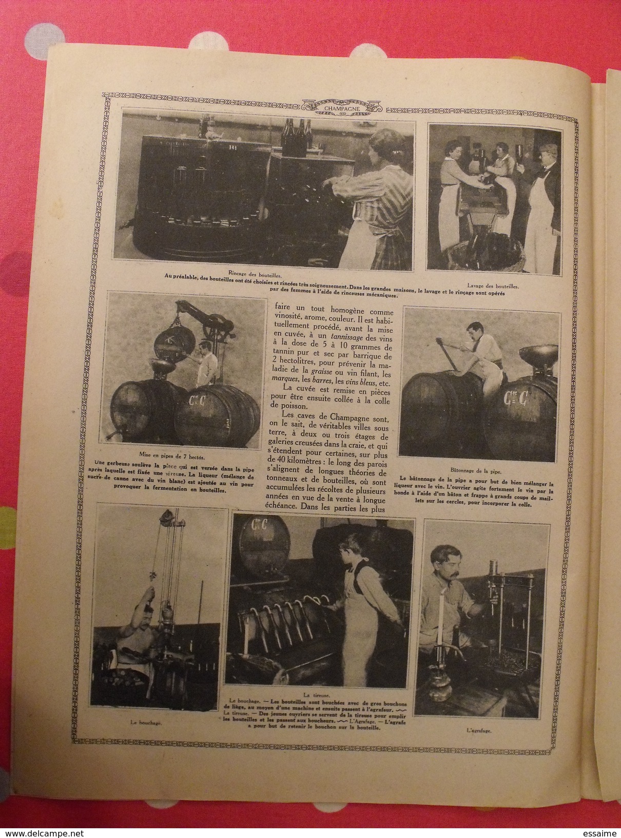 Le monde et la science 1935. bactériologie beurre margarine café champagne chauffage. nombreuses photos encyclopédie