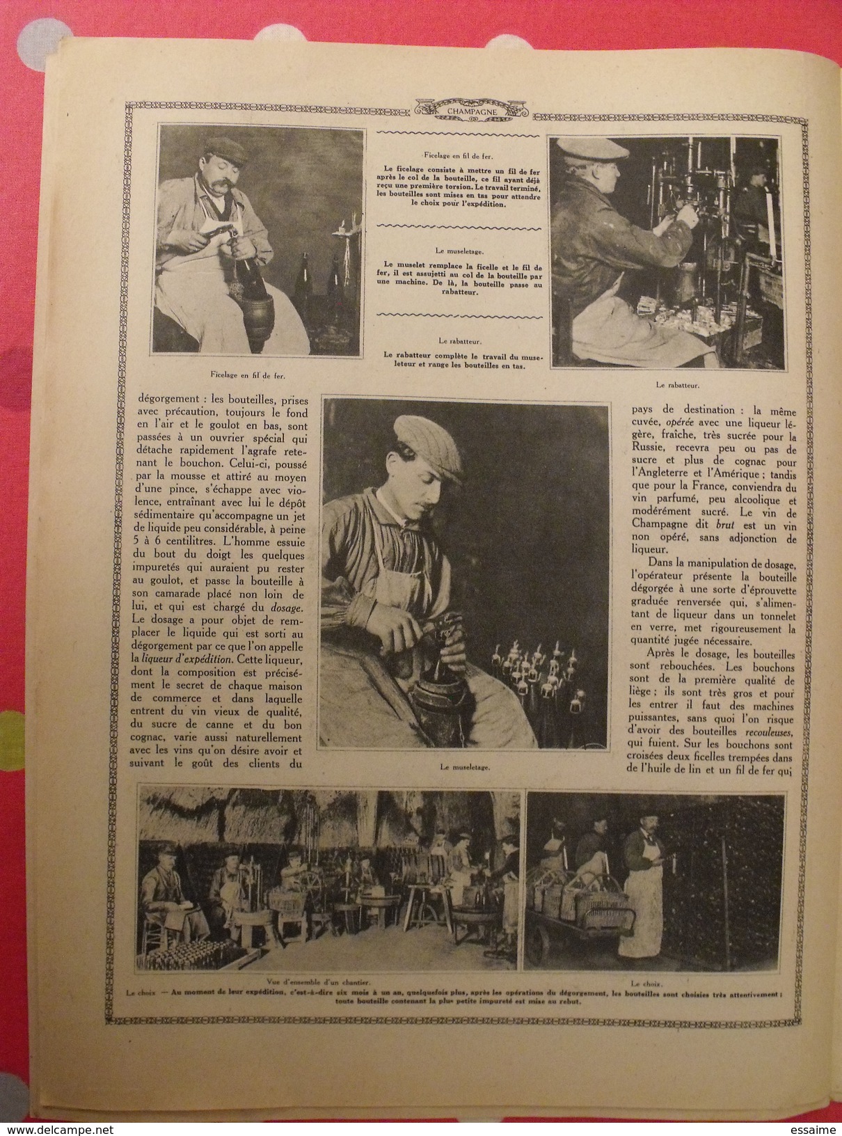 Le monde et la science 1935. bactériologie beurre margarine café champagne chauffage. nombreuses photos encyclopédie