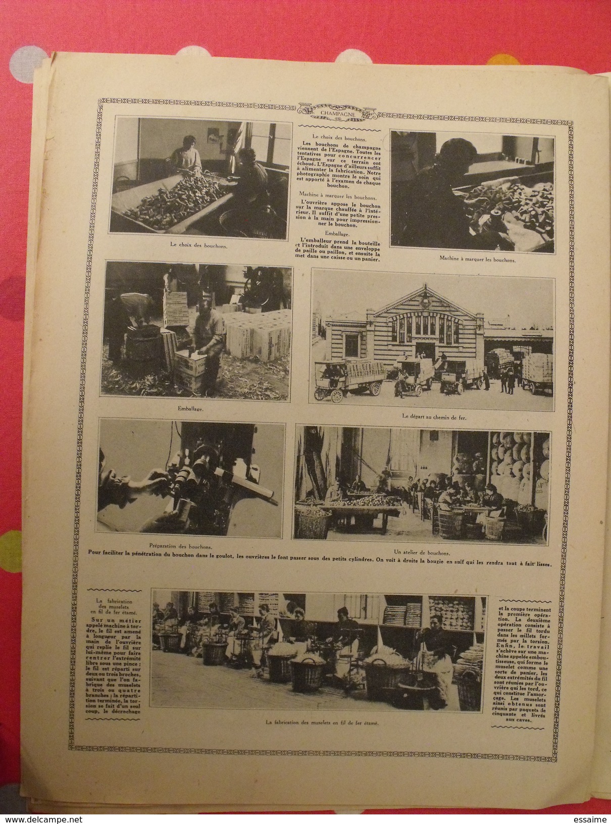 Le monde et la science 1935. bactériologie beurre margarine café champagne chauffage. nombreuses photos encyclopédie