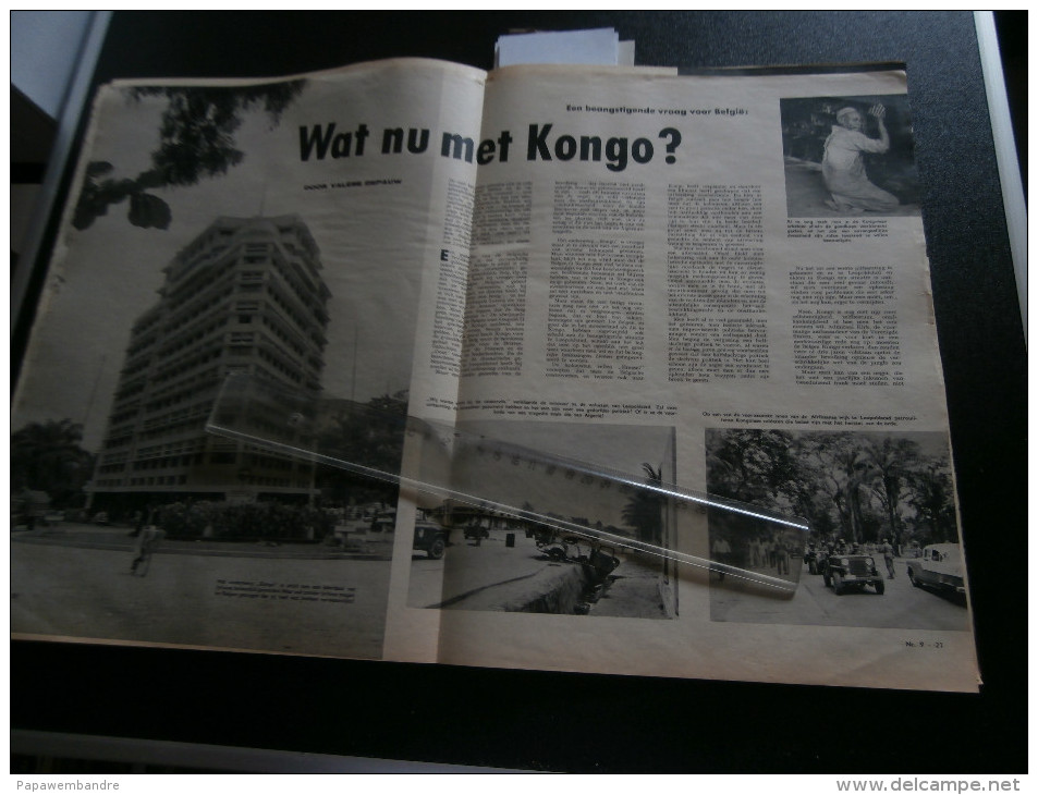 Panorama 9 (24/02/1959) : Kongo, Lapland, Grave, Barsbüttel, Gateshead, Tavolara