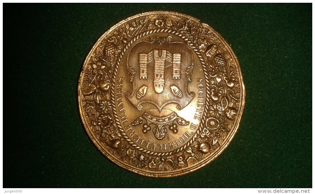 1866, Braemt, Soc. D'Horticulture D'Anvers, 3de Prijs Van Kerckhove-Key, 44 Gram (med324) - Elongated Coins