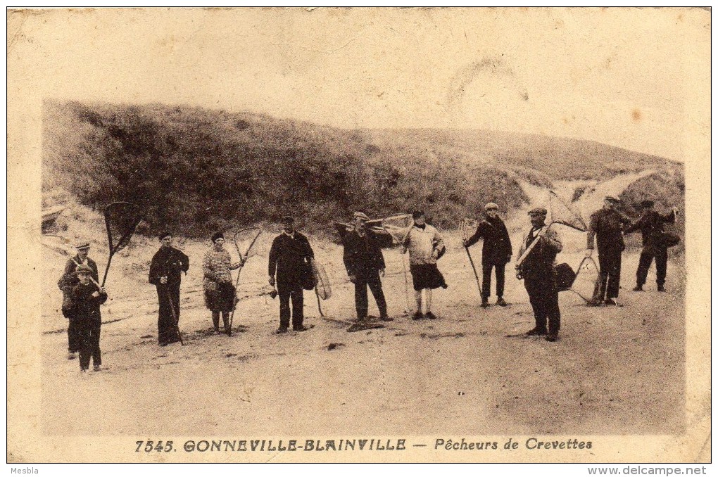 CPA  -   GONNEVILLE - BLAINVILLE  (50)   Pecheurs De Crevettes - Blainville Sur Mer
