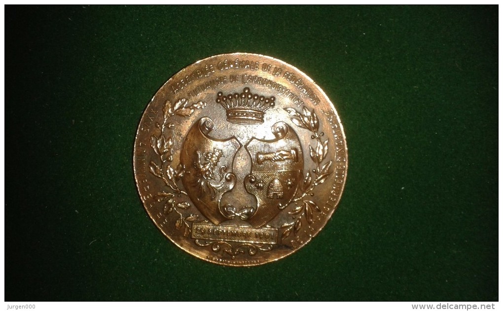 1901, Martin Hautecour, Dinant, 25e Ann. Fraternelle Dinantaise, 46 Gram (med329) - Elongated Coins