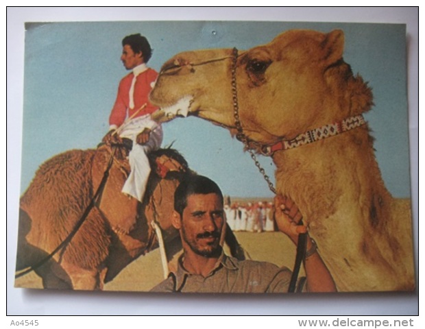 DC09 Postcard Saudi Arabia - After A Camel Race - Arabie Saoudite