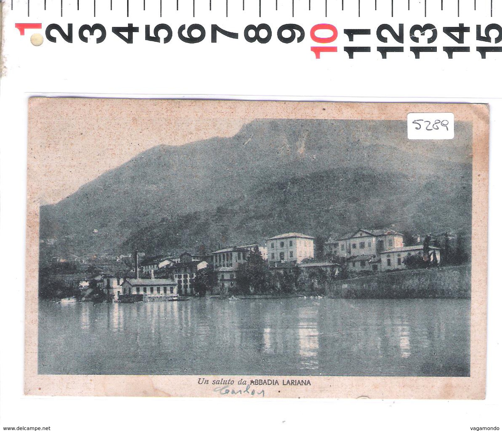 5289  ABBADIA LARIANA  PANORAMA   1940 - Lecco