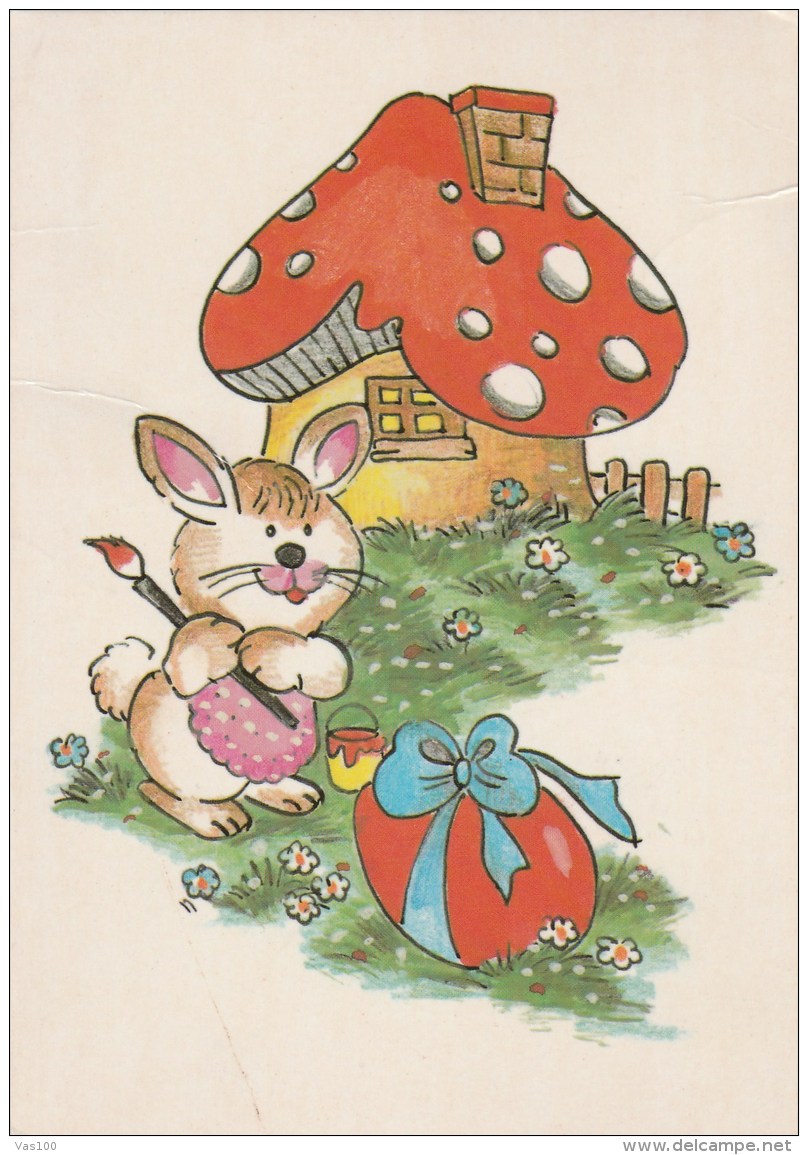 #BV4395   MUSHROOMS, PLANT, NATURE, RABBIT, EASTER, EASTER EGG, POST CARD. - Pilze