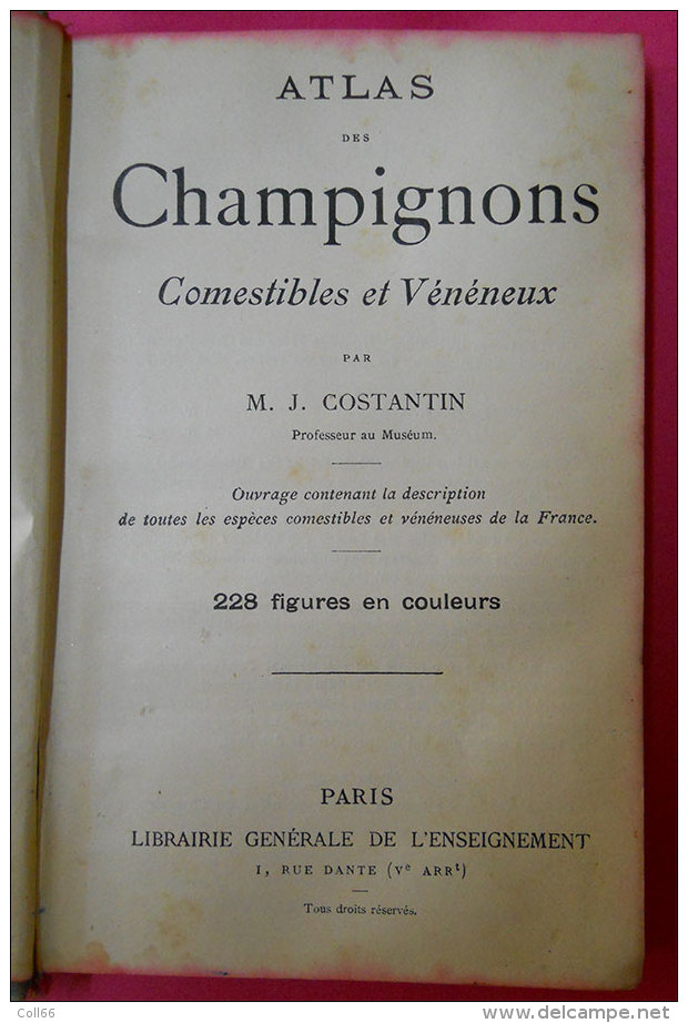 Livre Book Atlas Des Champignons Par Costantin 228 Figures Couleur édité Imprimerie Rété à Corbeille "Une Bible" - 1901-1940