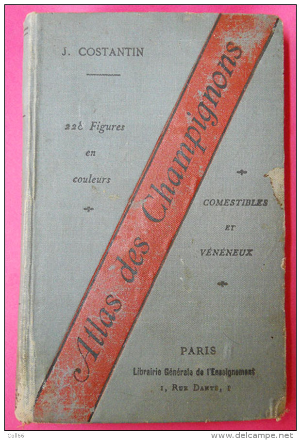 Livre Book Atlas Des Champignons Par Costantin 228 Figures Couleur édité Imprimerie Rété à Corbeille "Une Bible" - 1901-1940