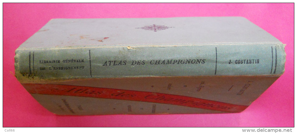 Livre Book Atlas Des Champignons Par Costantin 228 Figures Couleur édité Imprimerie Rété à Corbeille "Une Bible" - 1901-1940