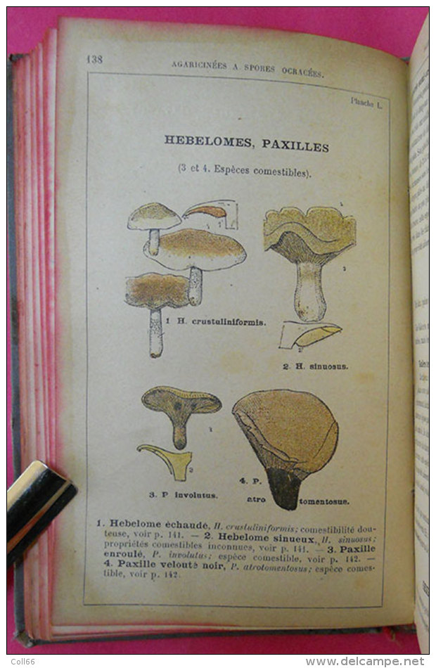 Livre Book Atlas Des Champignons Par Costantin 228 Figures Couleur édité Imprimerie Rété à Corbeille "Une Bible" - 1901-1940