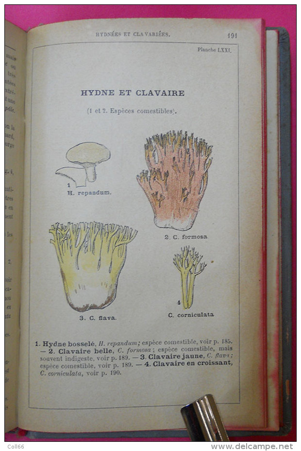 livre Book Atlas des champignons par Costantin 228 figures couleur édité imprimerie rété à Corbeille "Une Bible"