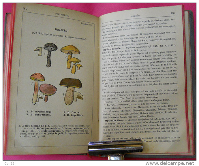 livre Book Atlas des champignons par Costantin 228 figures couleur édité imprimerie rété à Corbeille "Une Bible"