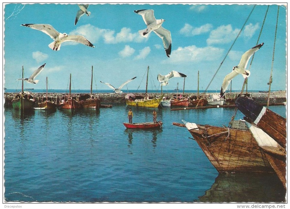 T119 Kuwait - Harbour Of Pearl Fishers - Barche Boats Bateaux / Non Viaggiata - Kuwait