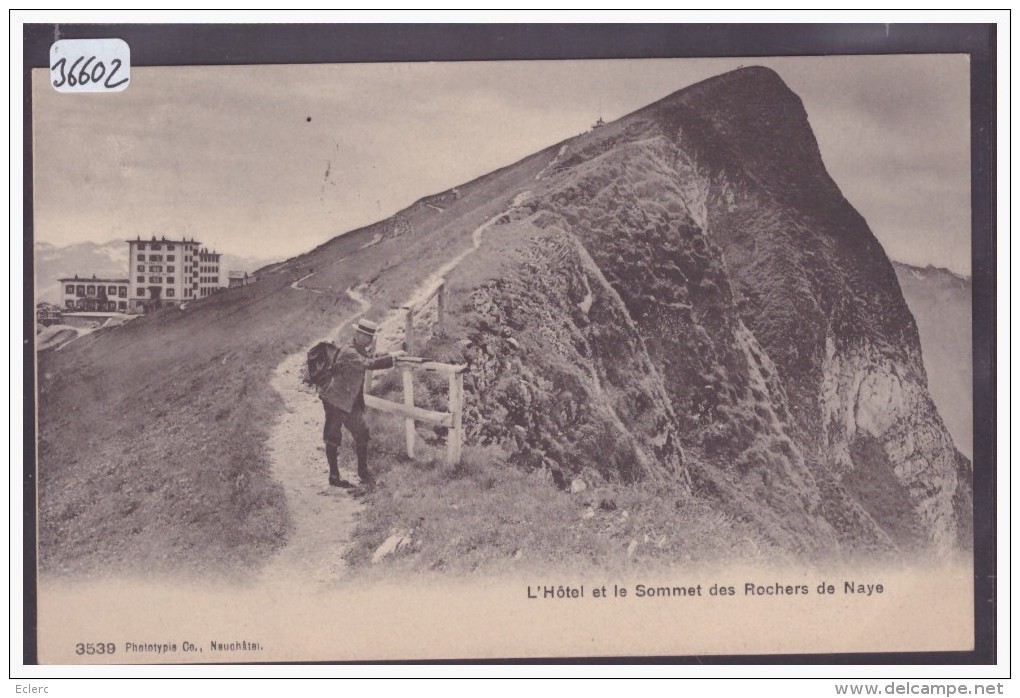 DISTRICT DE VEVEY /// AU SOMMET DES ROCHERS DE NAYE - TB - Roche