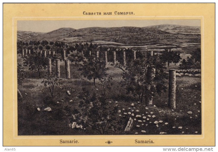 C1890s/1900s Picture Card (Postcard-like) Middle East Image Samaria Samarie Ancient Ruins(?) - Géographie