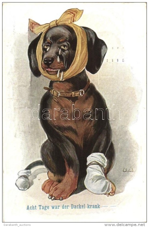 T2 'Acht Tage War Der Dackel Krank' / Dachshund Dog, Artist Signed - Non Classés