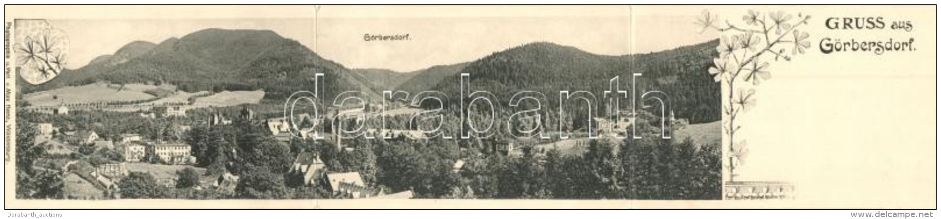 T2/T3 Sokolowsko, Görbersdorf; Gruss Aus... Photographie U. Verl. V. Max Heinz; 3-tiled Panoramacard, Floral... - Sin Clasificación