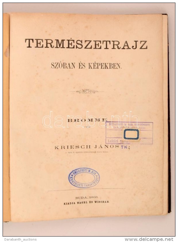 Kriesch János: Természetrajz Szóban és Képekben. Bromme Után. Buda, 1863,... - Sin Clasificación