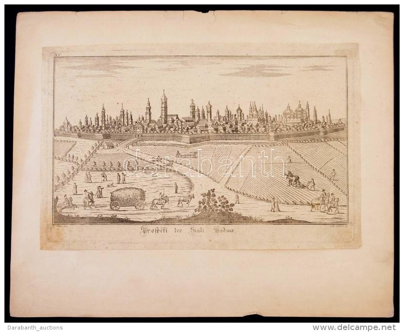 1730 Joseph Eder:Prospect Der Stadt Padua. Padova Látképe. Rézmetszet. / 
1730 The View Of The... - Estampas & Grabados