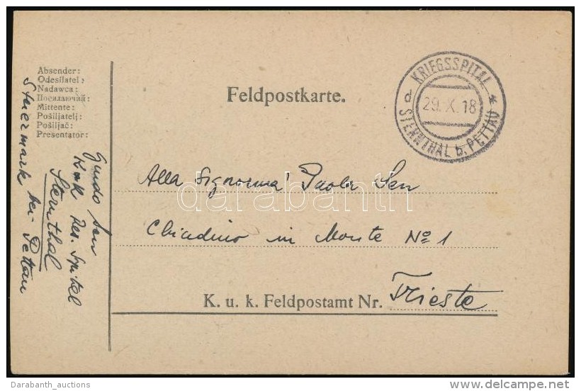 1918 Tábori Posta LevelezÅ‘lap / Field Postcard 'KRIEGSSPITAL STERNTHAL B.PETTAU' - Otros & Sin Clasificación