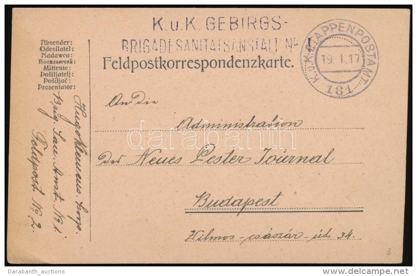 1917 Tábori Posta LevelezÅ‘lap / Field Postcard 'K.u.K. GEBIRGS / BRIGADESANITATSANSTALT' + 'EP 181' - Otros & Sin Clasificación