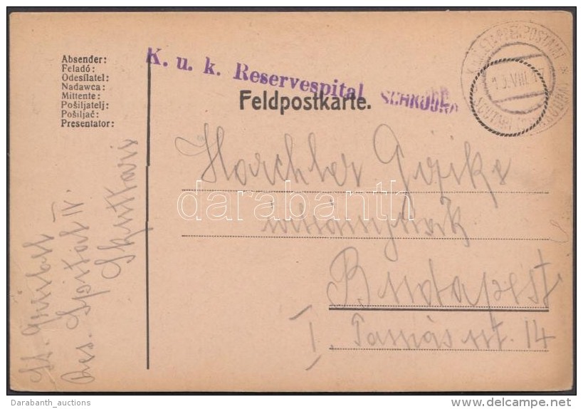 1917 Tábori Posta LevelezÅ‘lap / Field Postcard 'K.u.k. Reservespital SCHKODRA' + 'EP SCUTARI (SCHKODRA)' - Otros & Sin Clasificación
