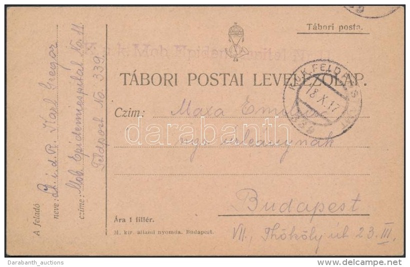 1917 Tábori Posta LevelezÅ‘lap / Field Postcard 'K.u.k. Mob Epidemiespital Nr.11.' + 'FP 339' - Otros & Sin Clasificación