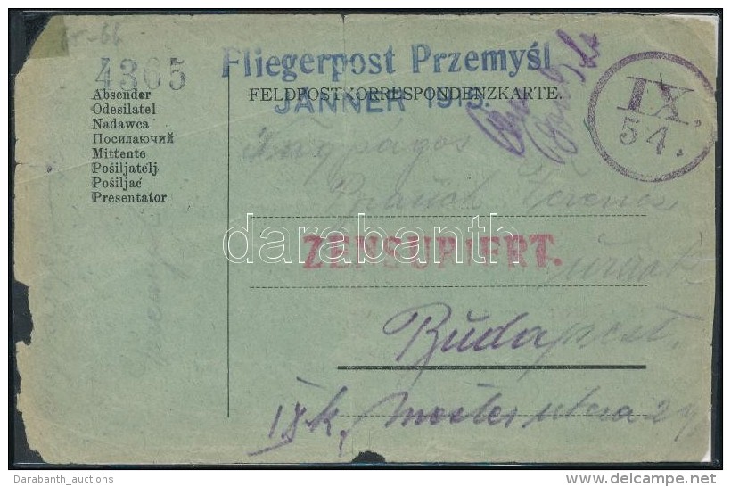 1915 RepülÅ‘ Posta LevelezÅ‘lap / Field Postcard 'Fliegerpost Premysl JÄNNER 1915.' (sérült /... - Otros & Sin Clasificación