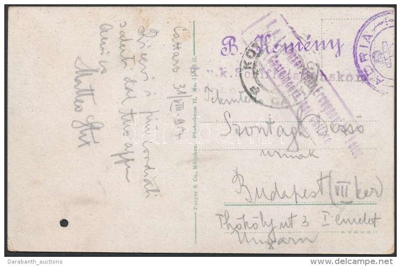 1917 Tábori Posta Képeslap / Field Postcard 'K.u.k. Schiffstabskompagnie' + 'S.M.S. ADRIA' - Otros & Sin Clasificación