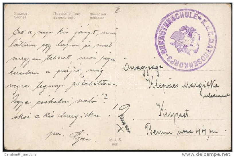 ~1915 Tábori Posta Képeslap / Field Postcard 'K.u.k. MATROSENKORPS-REKRUTENSCHULE' - Otros & Sin Clasificación