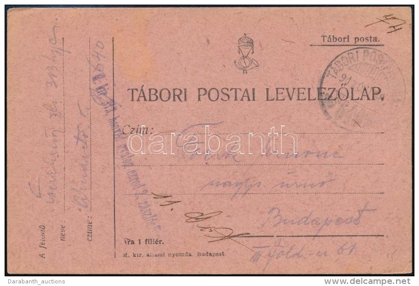 1917 Tábori Posta LevelezÅ‘lap / Field Postcard 'M. Kir. 313. Honvéd Gyalog Ezred 2.... - Otros & Sin Clasificación