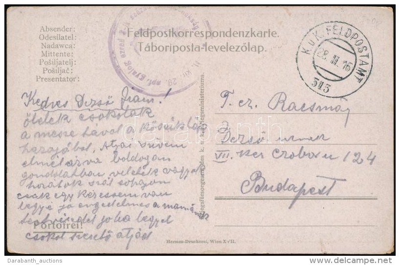 1916 Tábori Posta Képeslap / Field Postcard 'M.kir. 29. Npf. Gyalog Ezred 3-ik Század... - Otros & Sin Clasificación