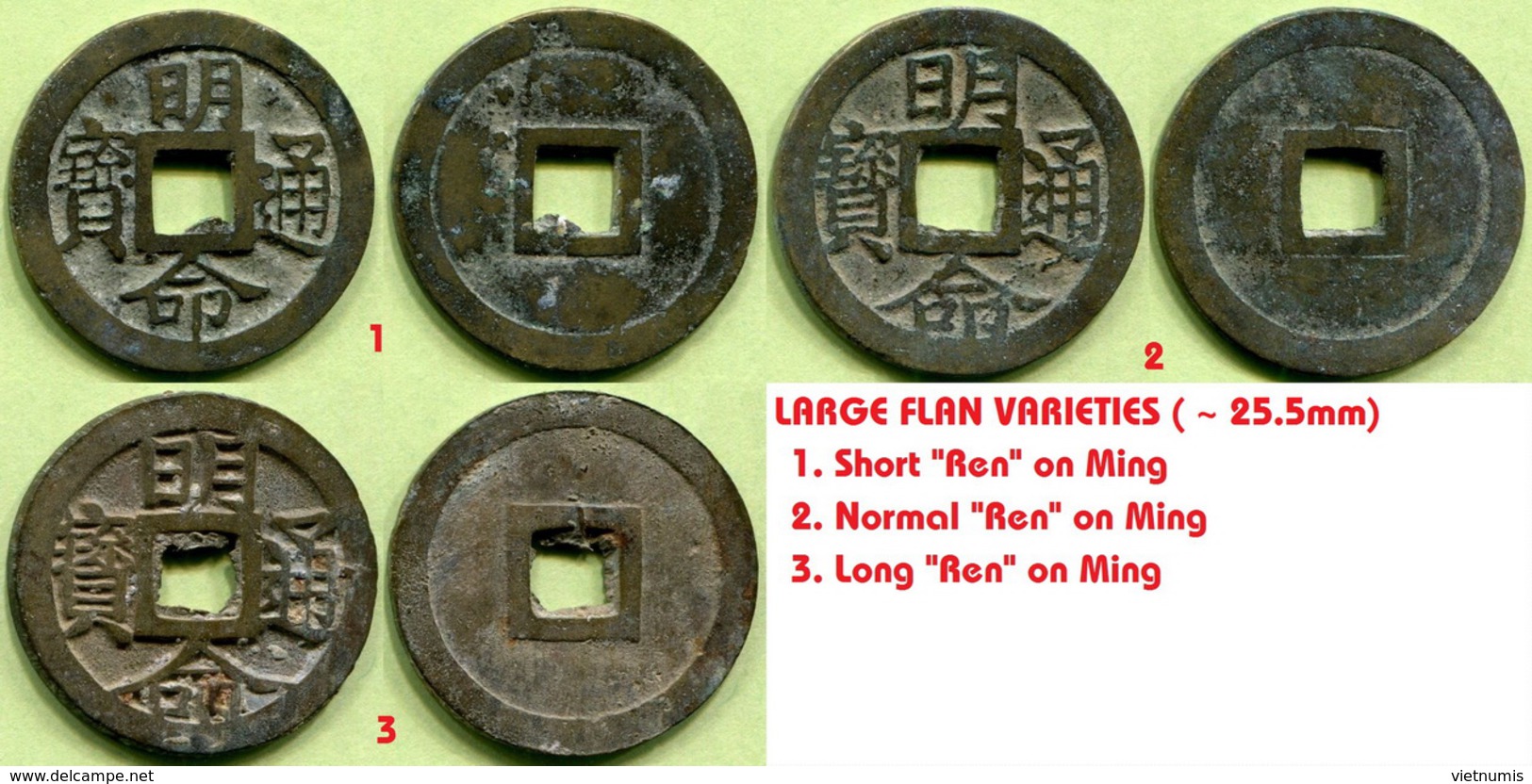 VIETNAM ANNAM MING MING TONG BAO (1820-1840) &#x660E;&#x547D;&#x901A;&#x5B9D; LARGE FLAN - Vietnam