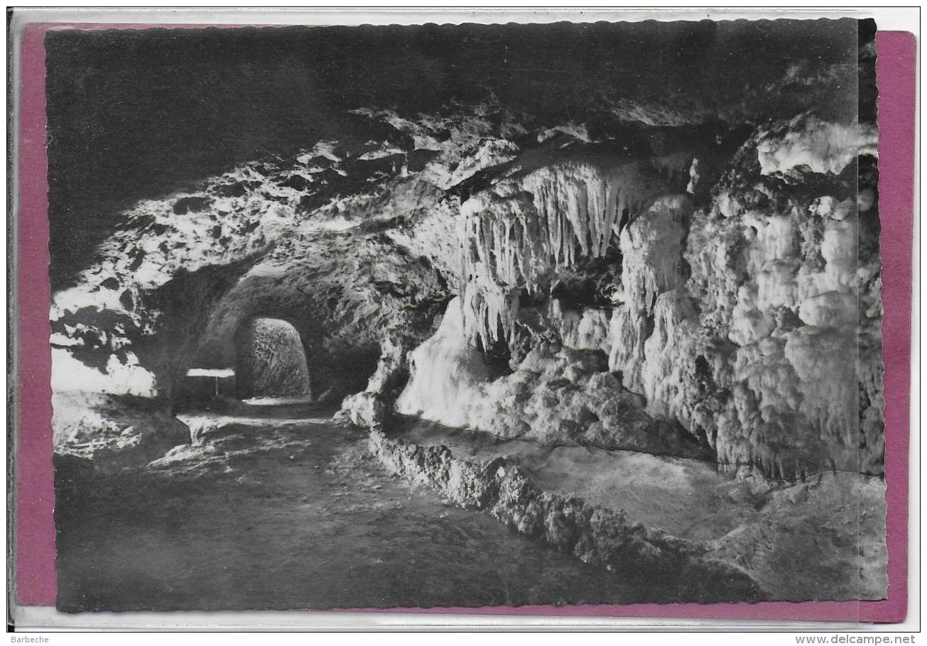 37.- SAVONNIERES .- Grottes Pétrifiantes  Des Caves Gouttieres - Autres & Non Classés