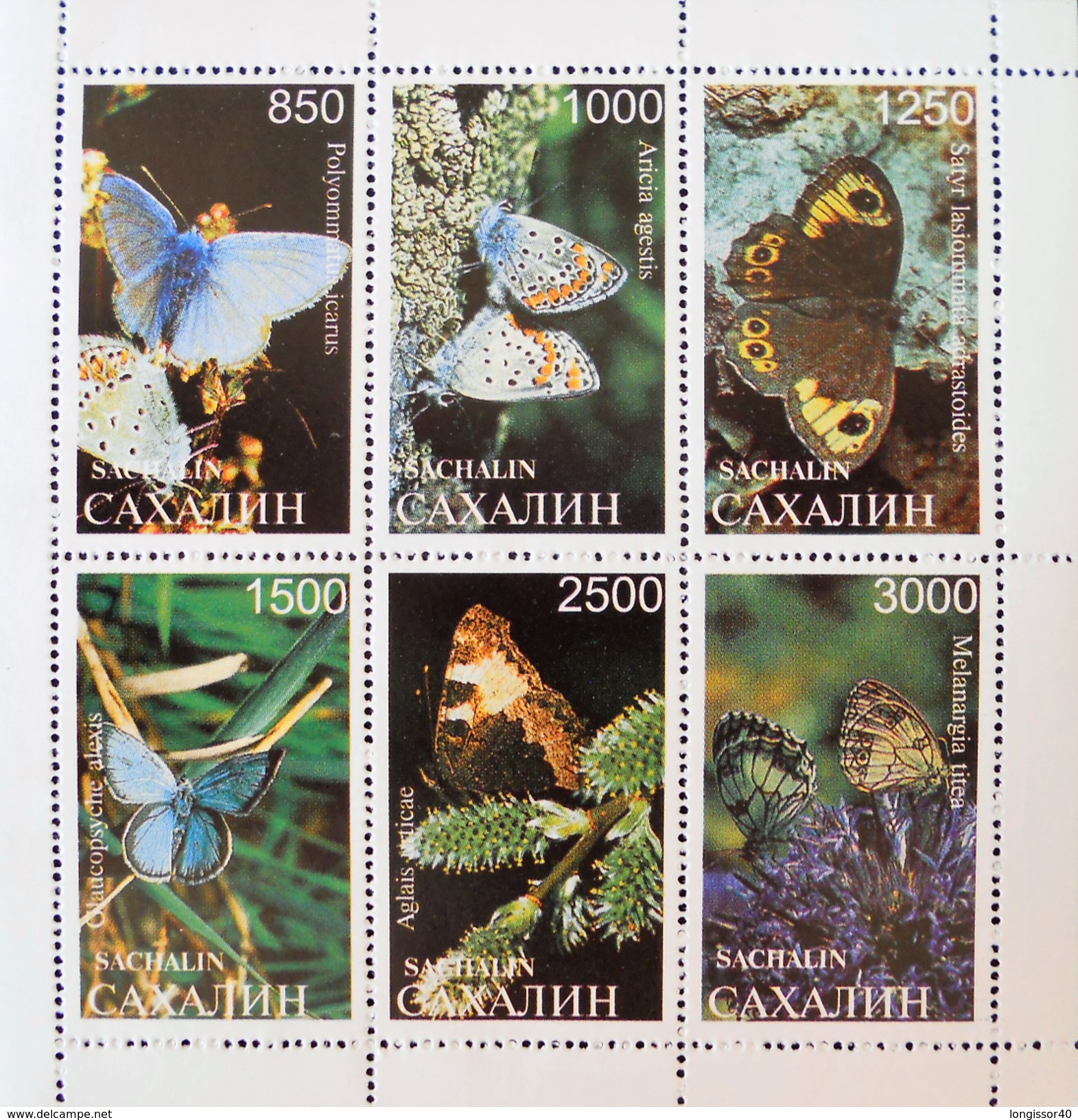 ILE DE SAKHALINE - PAPILLONS 1992 - FEUILLET NEUF ** - PH SAK001 - Fantasie Vignetten