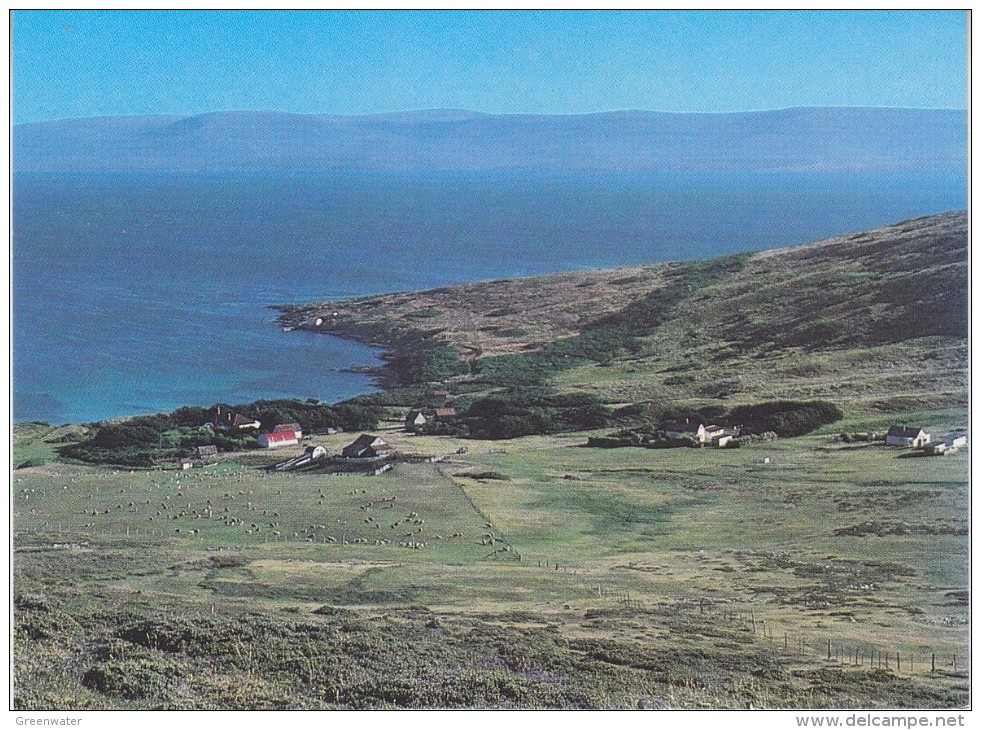 Falkland Islands Settlement At Carcass Island  Postcard Unused (33331) - Falklandeilanden