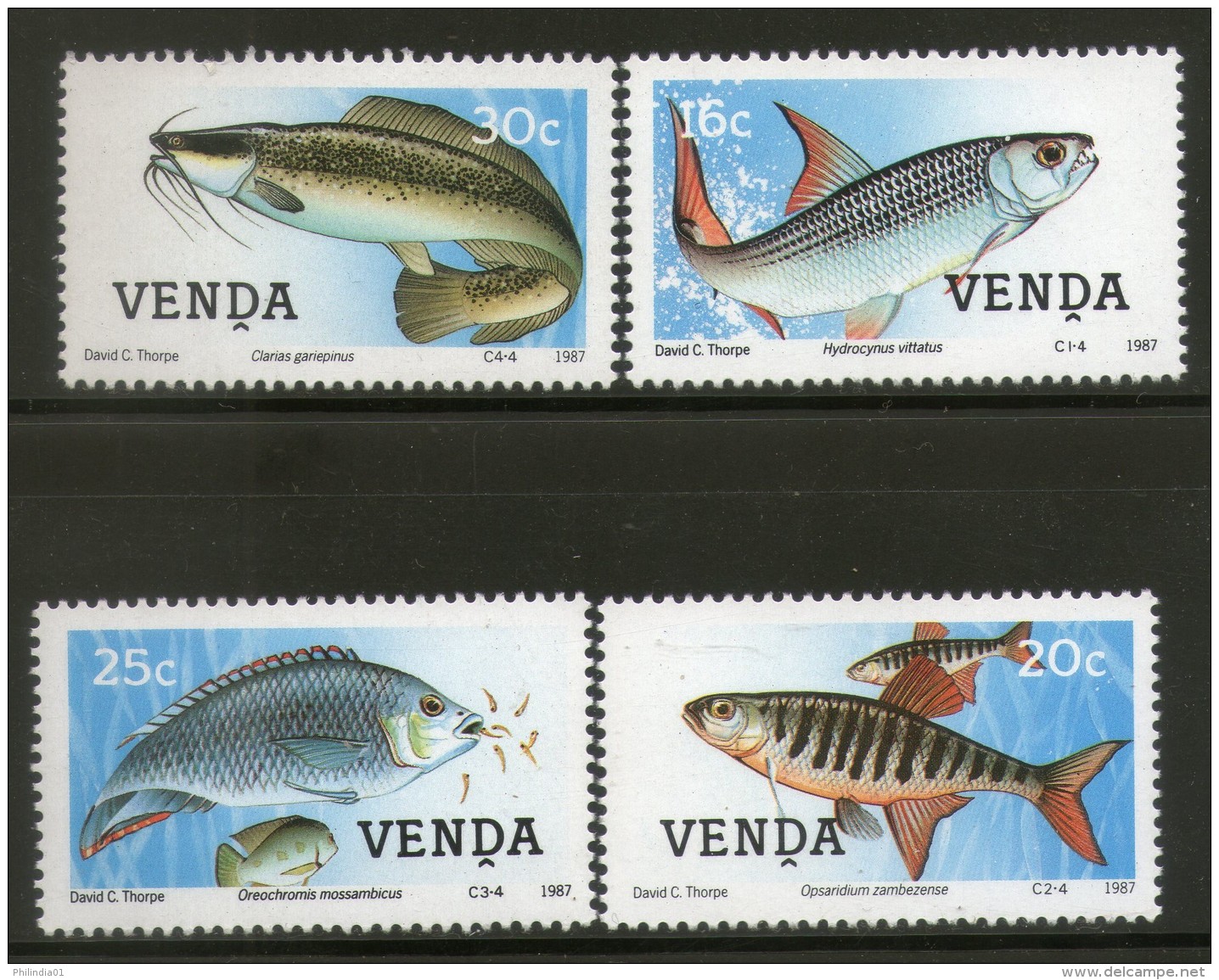 Venda 1987 Freshwater Fish Marine Life Animals Fauna Sc 169-72 MNH # 3575 - Mundo Aquatico