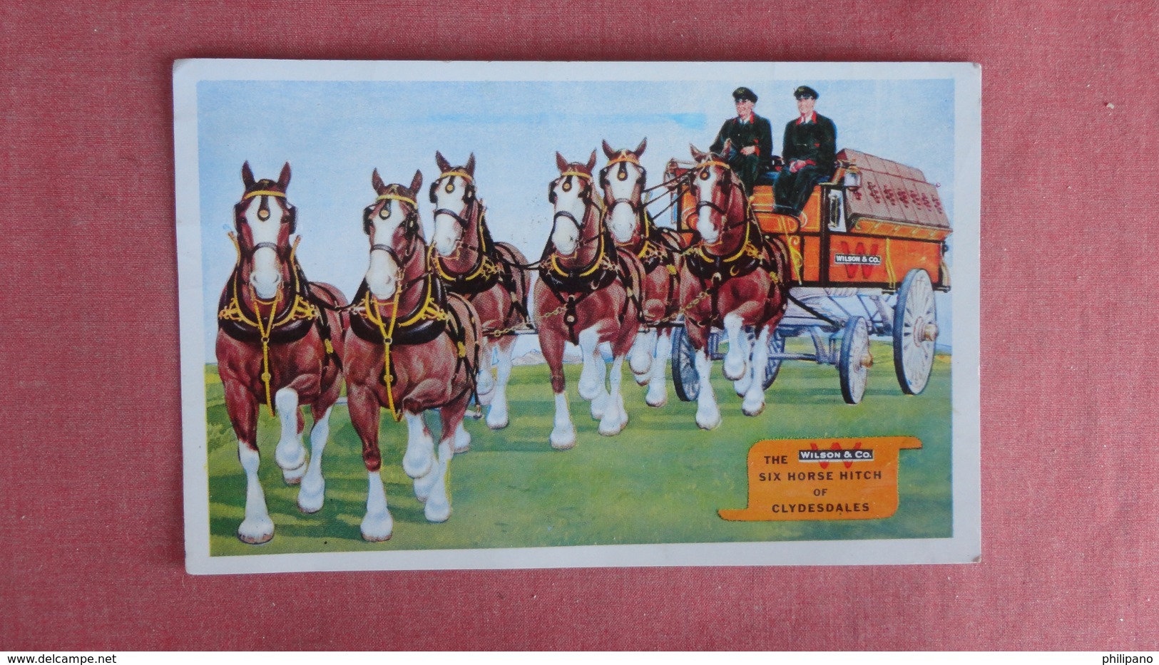 Wilson & Co---- Six Horse Hitch Of Clydesdales= = ====  -ref 2379 - Paarden