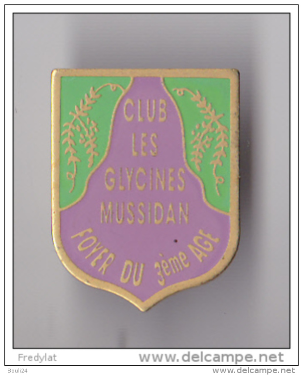 PIN´S THEME VILLE DE MUSSIDAN EN DORDOGNE CLUB DES GLYCINES FOYER DU 3 EME AGE - Cities