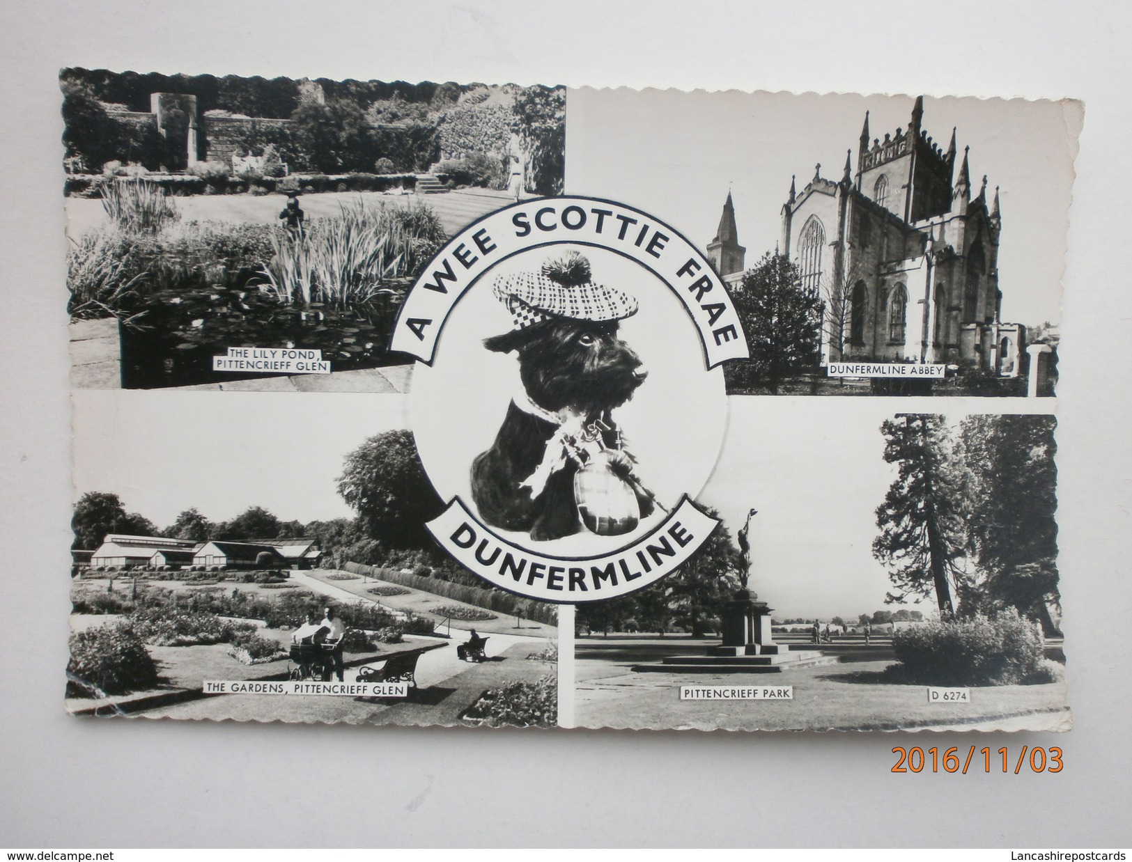 Postcard Multiview A Wee Scottie Frae Dunfermline My Ref B1168 - Fife