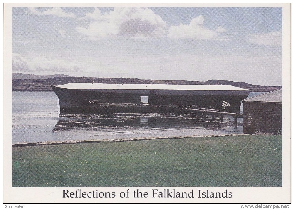 Falkland Islands The Wreck "Charles Cooper"  Postcard Unused (33339) - Islas Malvinas