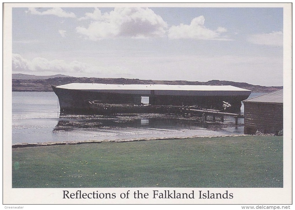 Falkland Islands Port Louis "The First Settlement"  Postcard Unused (33340) - Islas Malvinas