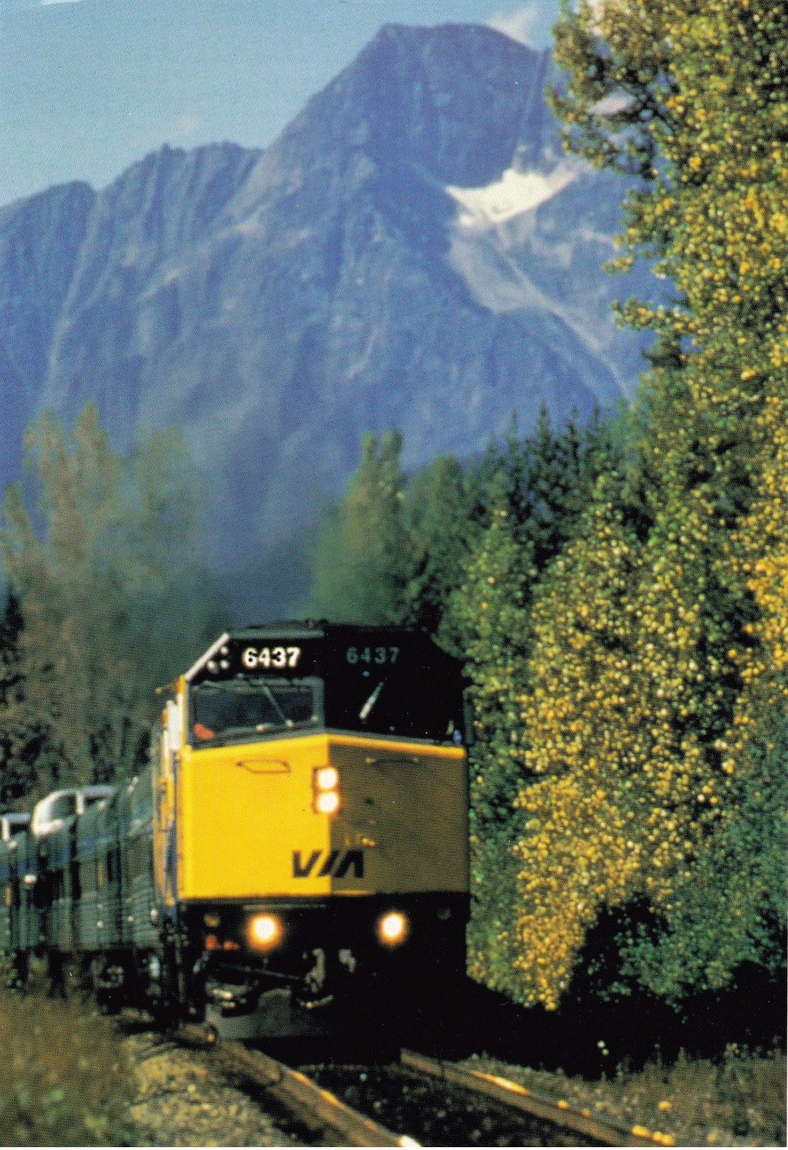 Big Card Of VIA Rail Canada,The Canadien,Rockies,B.C.Canada,L38. - Other & Unclassified