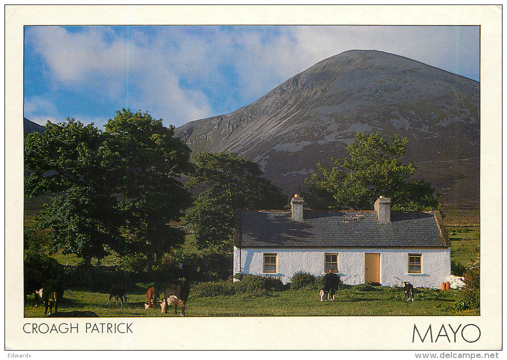 Croagh Patrick, Mayo, Ireland Postcard Posted 1989 Stamp - Mayo