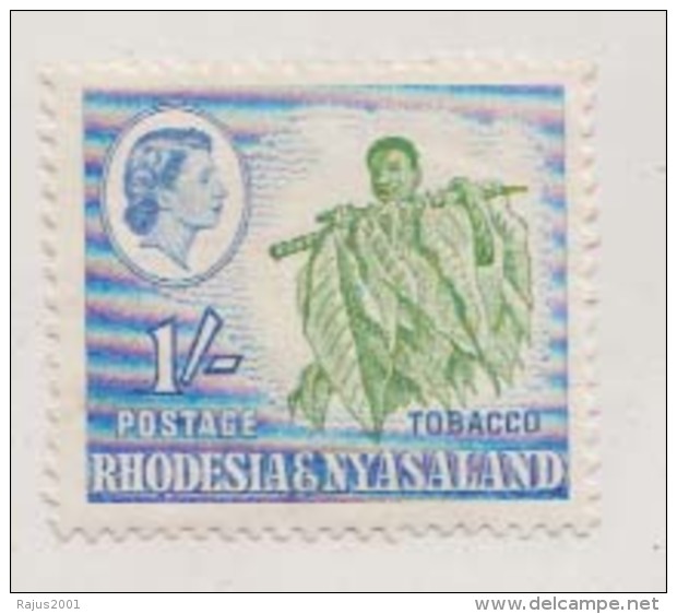 Dry Tobacco Leaf,  Drug, Health MH Rhodesia - Tobacco