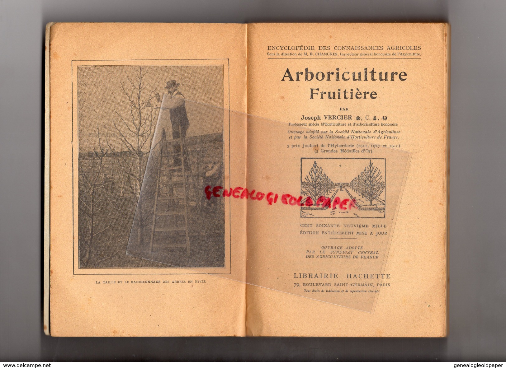 ENCYCLOPEDIE CONNAISSANCES AGRICOLES-ARBORICULTURE FRUITIRE-J. VERCIER-HACHETTE-1910- HORTICULTURE-AGRICULTURE-FLORE - Enzyklopädien
